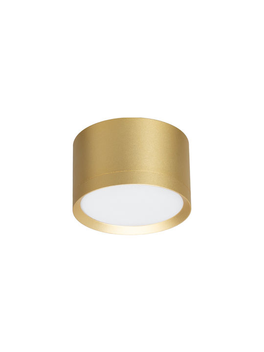 Eko Light Einzel Spot mit Fassung null in Gold Farbe
