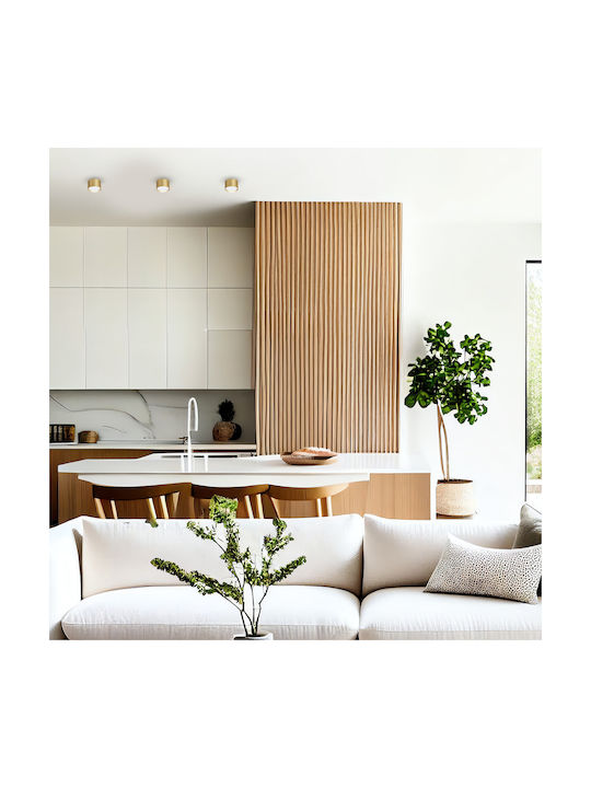 Eko Light Einzel Spot mit Fassung null in Gold Farbe