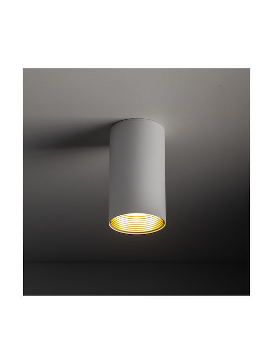 TK Lighting Spot in White Color