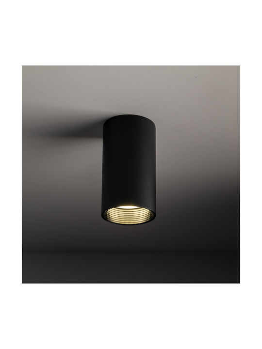 TK Lighting Spot in Schwarz Farbe