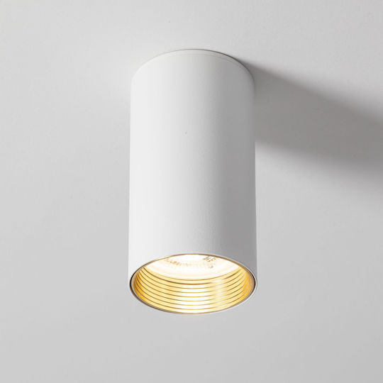 TK Lighting Spot in White Color