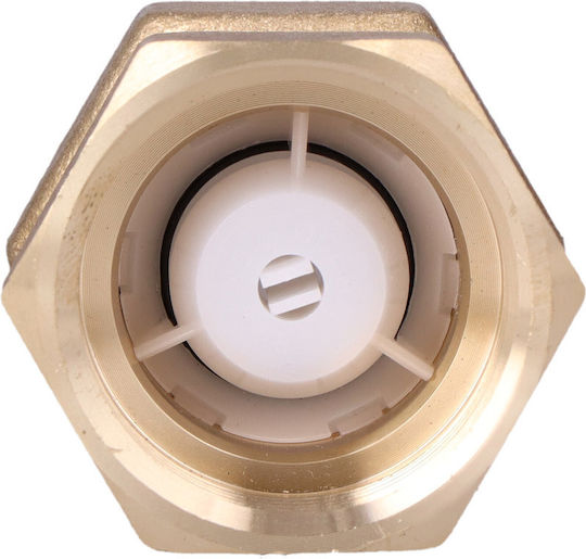 Verschiedene Rohrverbindungen Threaded Internal Check Valve Typ 601 1 Zoll