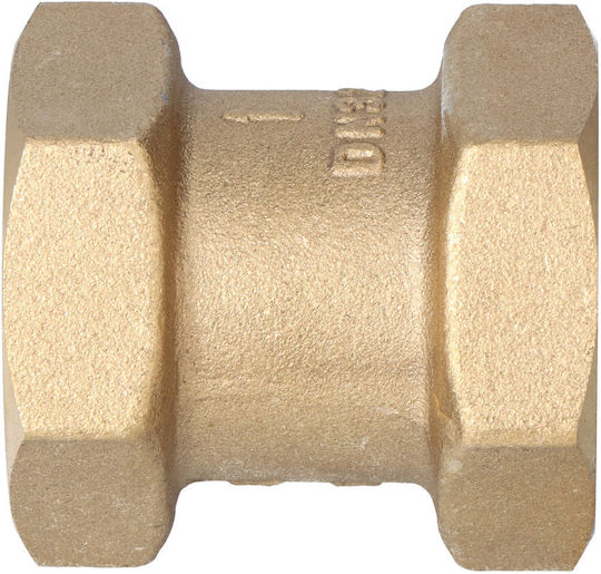 Threaded Internal Check Valve Type 601 5/4 Inch