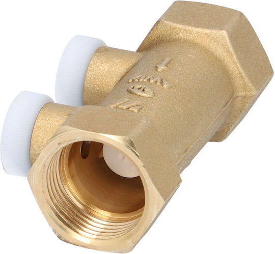 Threaded Internal Anti-contamination Check Valve Typ Ea291nf 3/4 Zoll