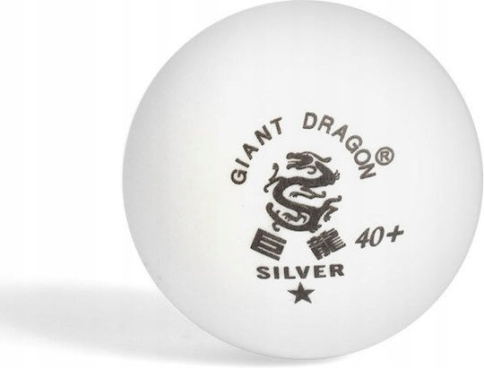 SMJ Sport Silver Star Ping Pong Balls 6pcs