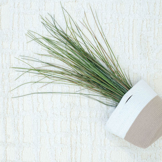 Ezzo Shaggy B723a1a Σετ Shaggy Χαλιά Κρεβατοκάμαρας Cream 12-B723A1A 3τμχ