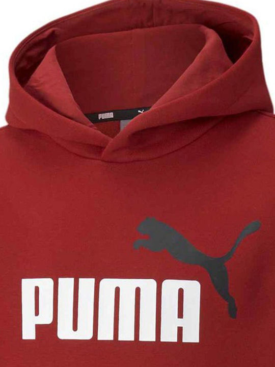 Kids Sweatshirt with Hood and Pockets Burgundy Essentials 2
