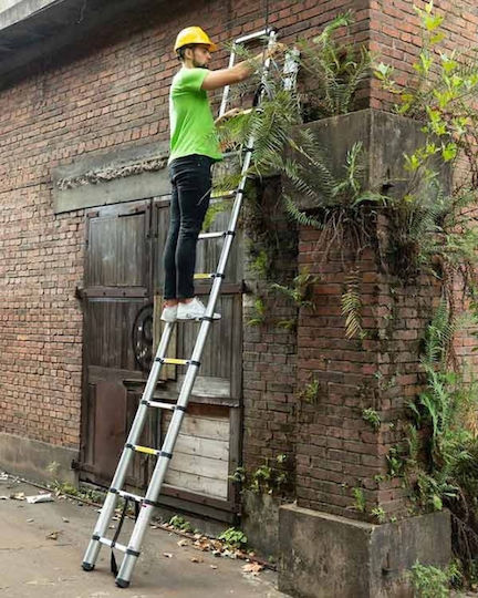 Veritas Telescopic Ladder Aluminum of Steps with Maximum Height 3.8m