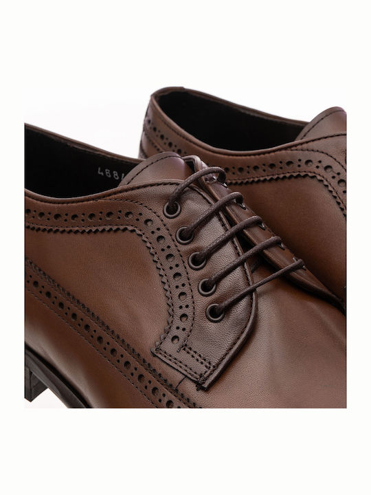 4684 Leder Herren Oxfords Tabac Braun