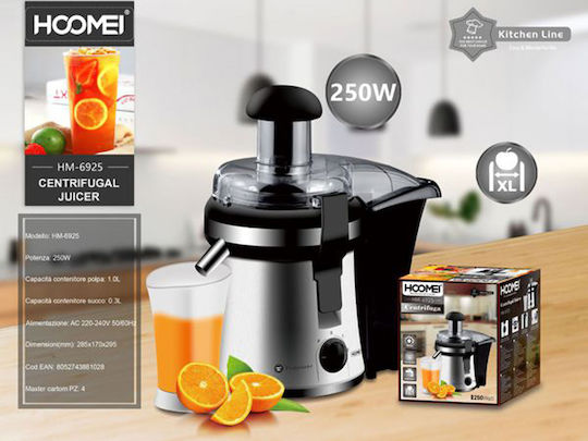 Hoomei Entsafter 350W Silber