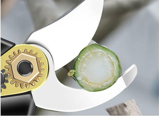 Verk Group Pruning Shears 21V with 2 Batteries & Maximum Cutting Diameter 30mm in Carrying Case