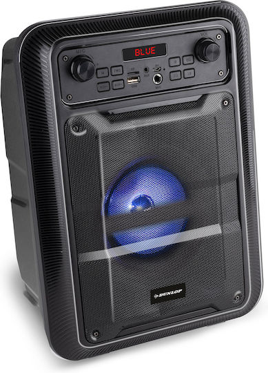 D220 Bluetooth-Lautsprecher mit Radio Schwarz