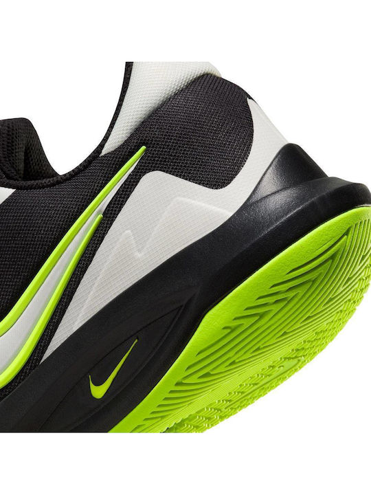 Precision 6 Low Basketball Shoes Black