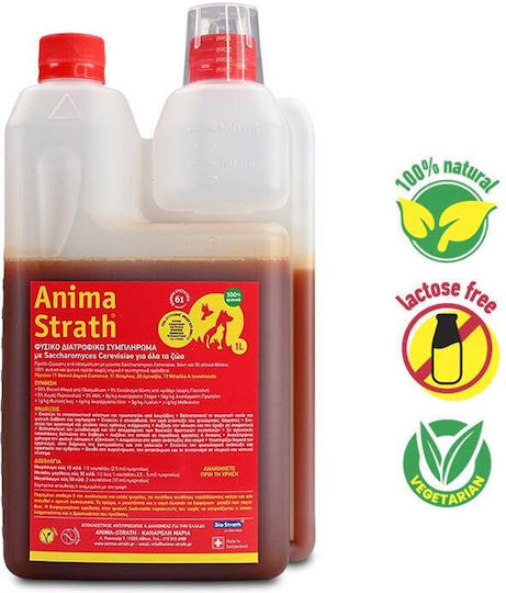 Interanimal Anima Strath Πολυβιταμίνες Σκύλου σε Έλαιο 1000ml για Ενέργεια & Τόνωση