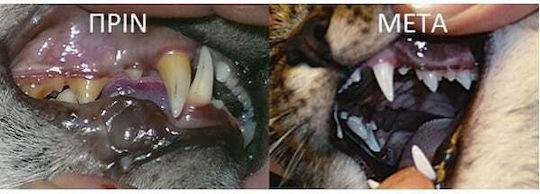 PlaqueOff Plaque Off Dental Bites Dental Dog Treats for Medium Breeds 150gr