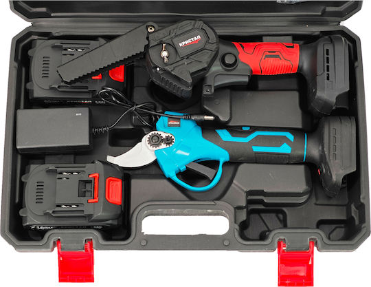 DDT Set Chainsaw Brushless 24V with Batteries 2Ah and Case
