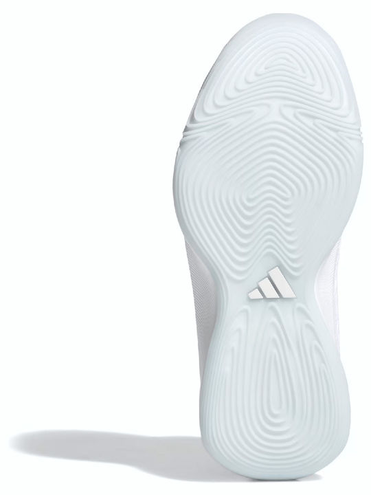 Initiation Niedrig Basketballschuhe Weiß