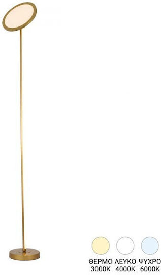 Pakketo Rita LED Floor Lamp H160xW25cm. Gold
