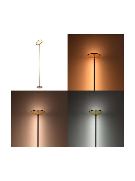 Pakketo Rita LED Φωτιστικό Δαπέδου Υ160xΜ25εκ. Χρυσό