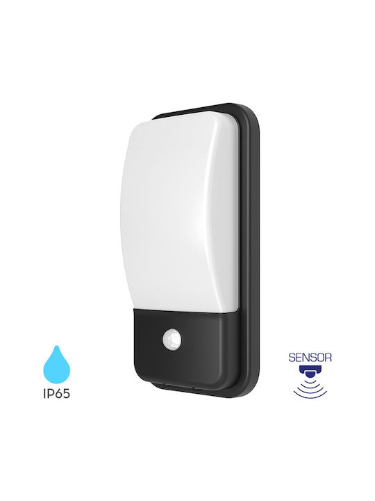 Braytron Επιτοίχιο Εξωτερικό Φωτιστικό IP65 30x15x8.6εκ.