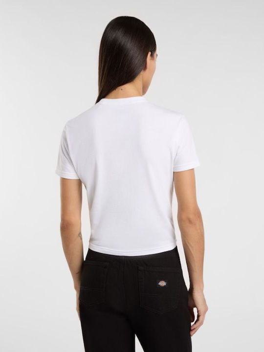 Dickies Dickies