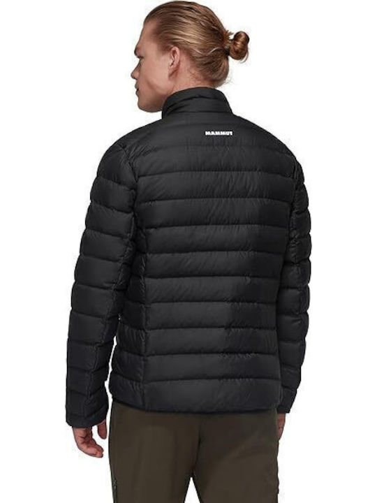 Mammut Mammut