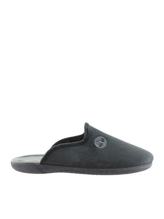 Adam's Shoes