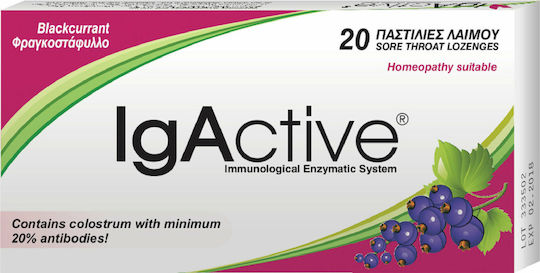 IgActive Blackcurrant Παστίλιες για Παιδιά Χωρίς Ζάχαρη & Γλουτένη Φραγκοστάφυλλο 20τμχ