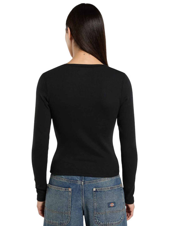 Dickies Dickies