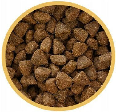 8kg Dry Food Gluten-Free for Small Breed Puppies with Meat and Turkey