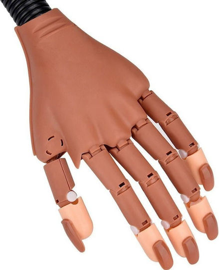 Educational Hand for Aesthetics