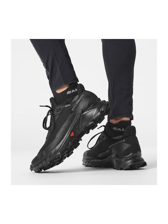 Alphacross 5 GTX Sport Shoes Running Waterproof with Gore-Tex Membrane Black Peat / Sulphur / Spring