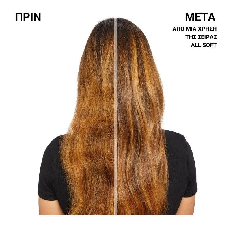 Redken All Soft Λάδι Μαλλιών για Ενυδάτωση κατά της Ψαλίδας 100ml