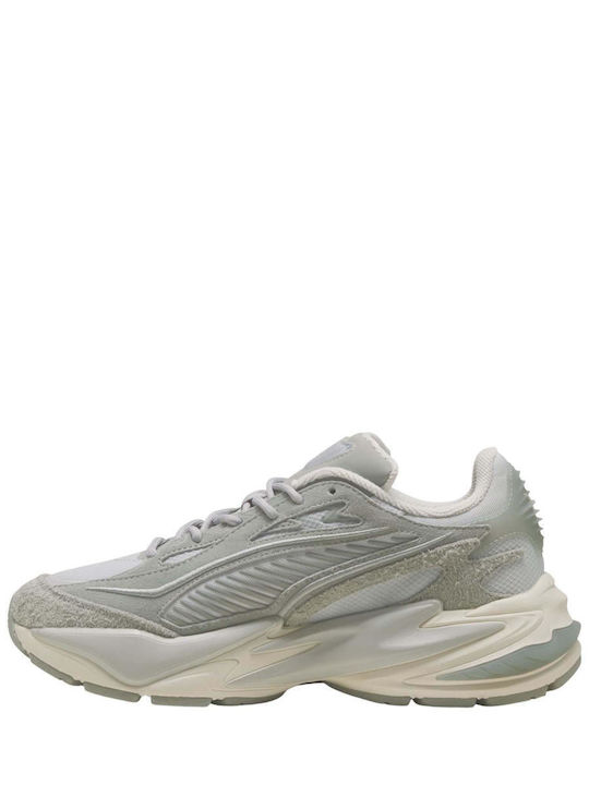 Sneakers Gray