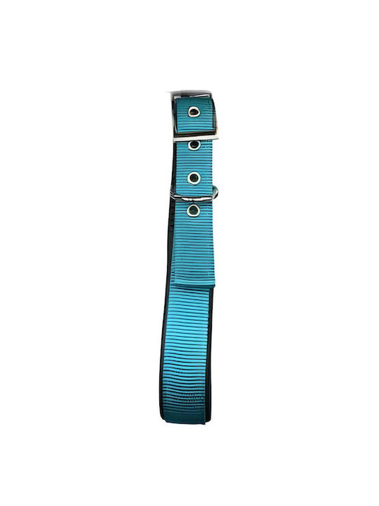 Pet Camelot 4561 Hundehalsband in Gray Farbe 25mm x 50cm