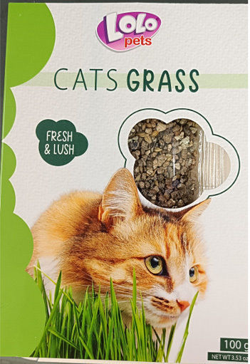 Lolo Pets Χόρτο Γάτας 100gr Γρασίδι για Γαστρεντερικές Διαταραχές 100gr