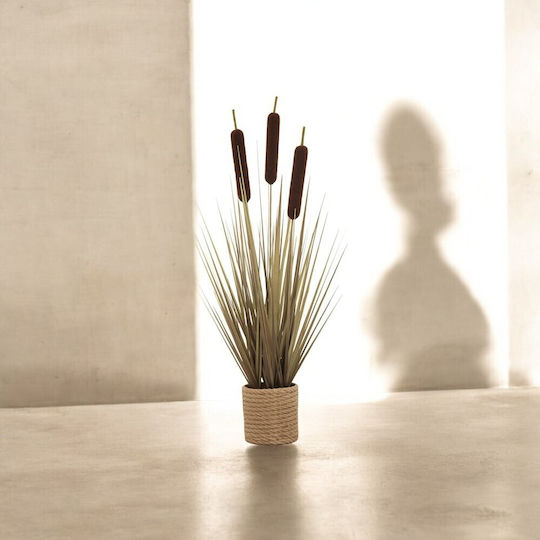 Künstliche Rohrkolbengraspflanze Beige Plastik Brauner Topf 69cm
