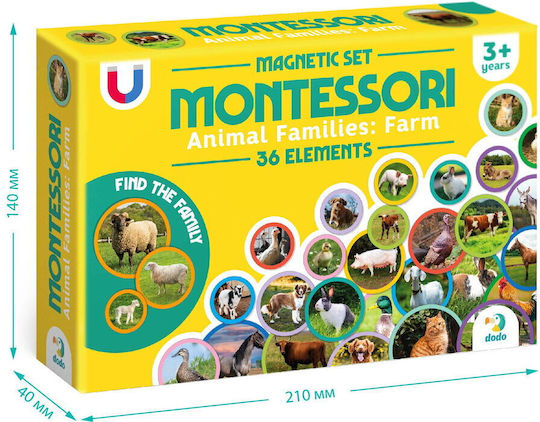 Dodo Montessori Joc Educațional de Cunoștințe pentru 3+ ani Ani