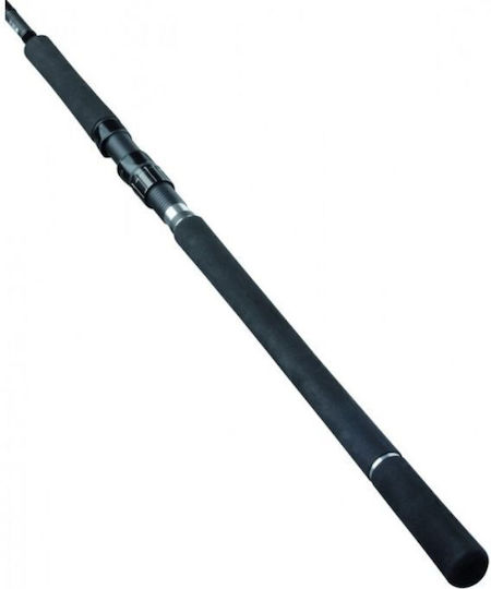 Daiwa Saltist X Fishing Rod for Shore Jigging 2.74m 20-80gr