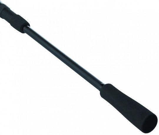 Daiwa Καλάμι Ψαρέματος για Spinning 2.74m με Μηχανισμό 10-30gr