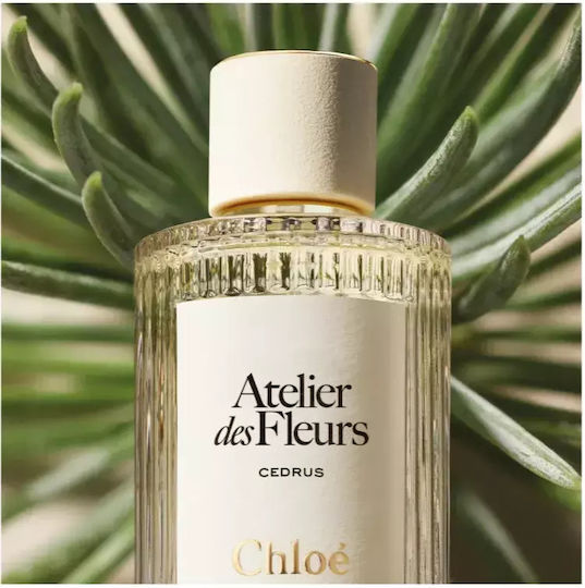 Chloe Eau de Parfum 50ml