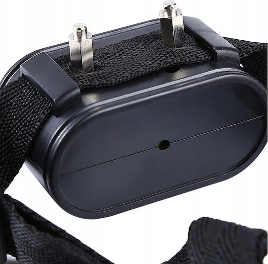 Dog Fence Shock Collar with Range 300m