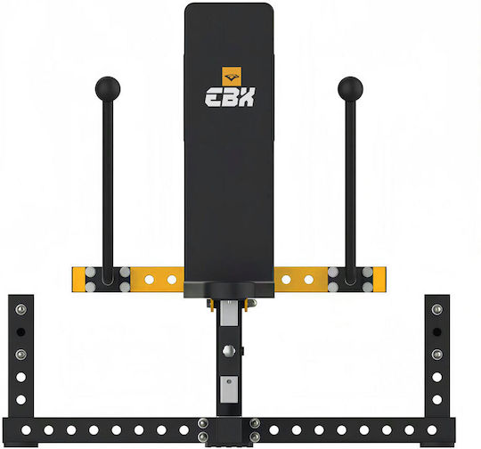 eBoxing Triceps Pushdown Triceps Machine without Weights