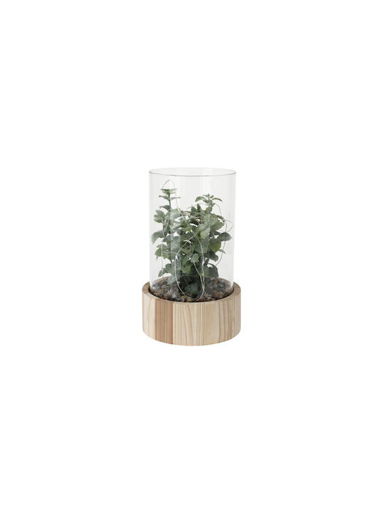All Saints Rose White with Led