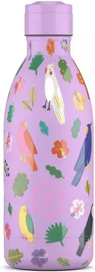 Cool Bottles Παιδικό Παγούρι Θερμός Ανοξείδωτο με Καλαμάκι Μωβ 500ml
