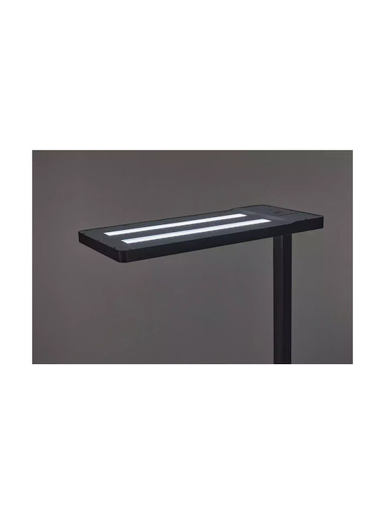 LED Stehleuchte Schwarz