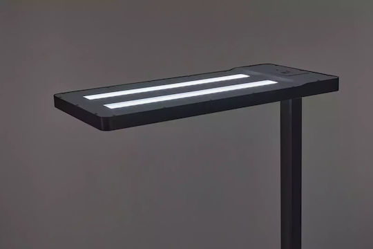 LED Floor Lamp Black