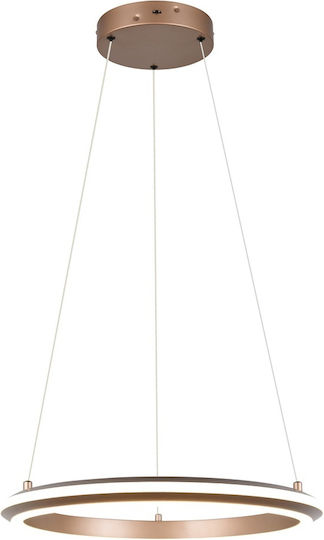 Trio Lighting Amador Pendant Light Brown