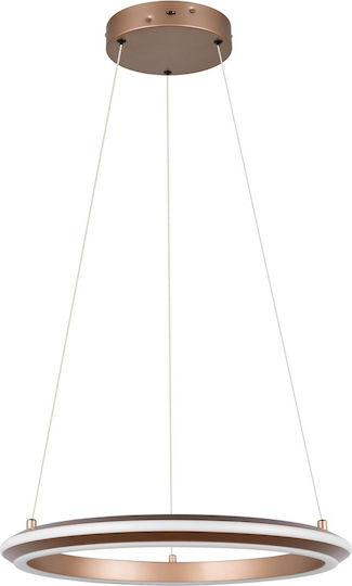 Trio Lighting Amador Pendant Light Brown