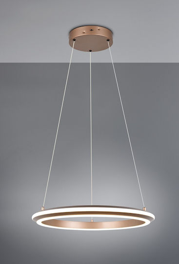 Trio Lighting Amador Pendant Light Brown